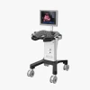 Cross-border exclusive supply of DW-350 all-digital black-and-white trolley ultrasound diagnostic system trolley portable B-ultrasound machine Application Scenario